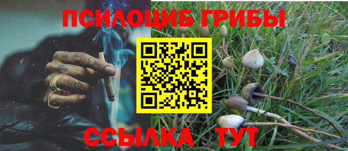 Псилоцибиновые грибы мухоморы Губкинский