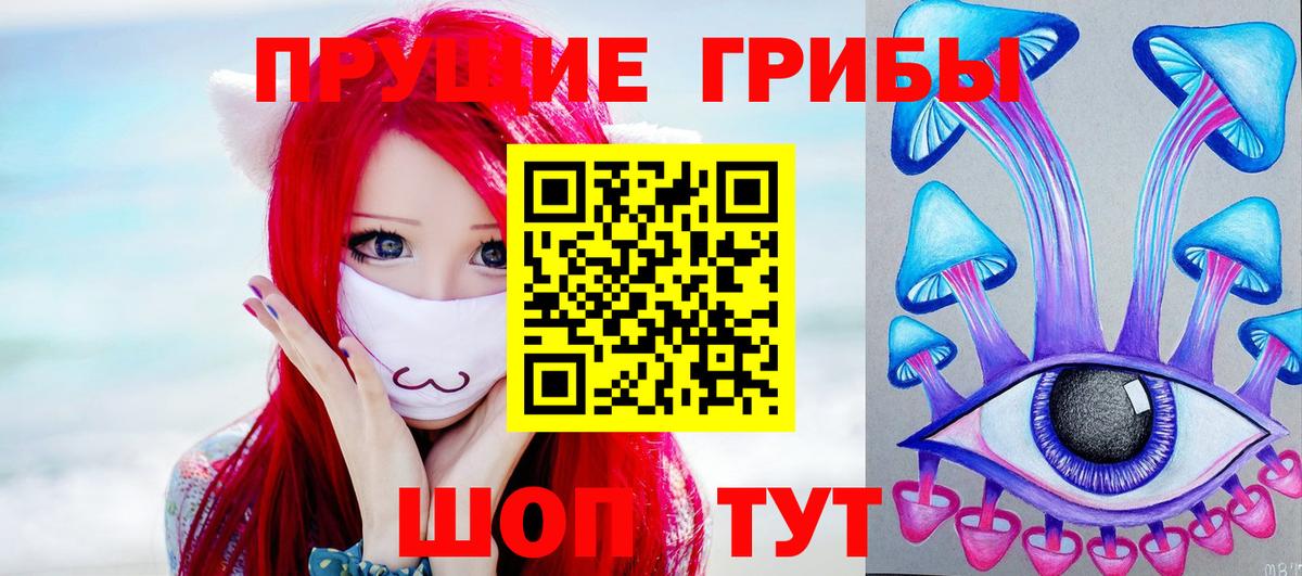 Губкинский  закладки  Вход с VPN  Псилоцибиновые грибы мухоморы 